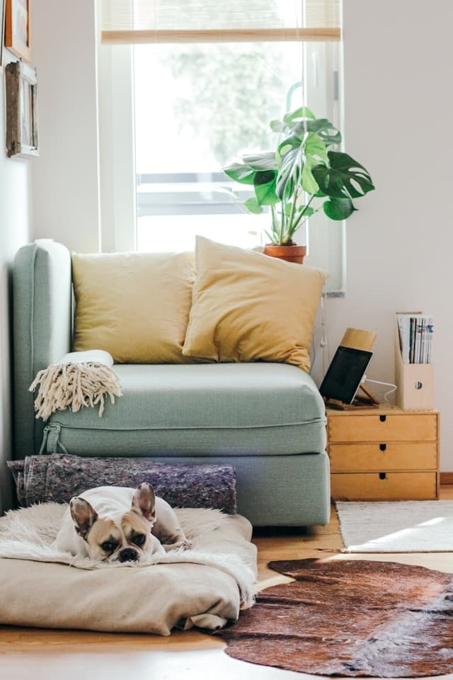 Acheteur immobilier à Montréal comparant assurance hypothécaire et assurance vie personnelle.
